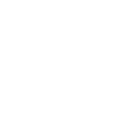X1 Mainnet